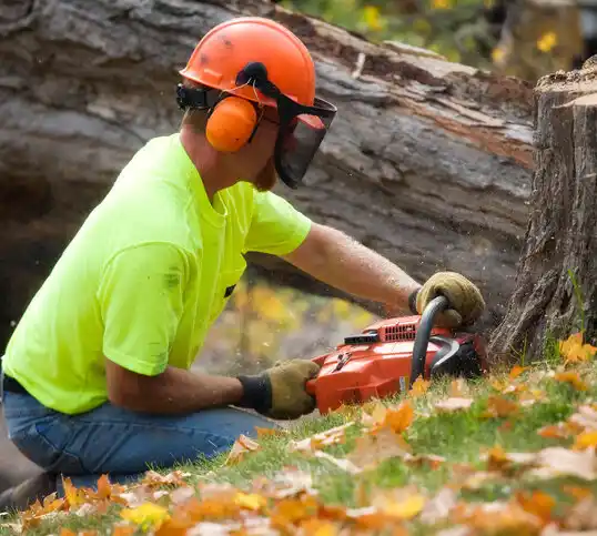 tree services Tioga